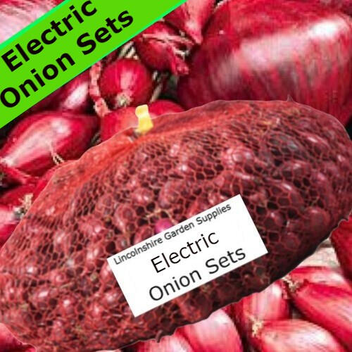 Red Electric