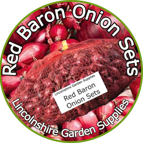 Red Baron Onion Sets Red Baron Onion Sets