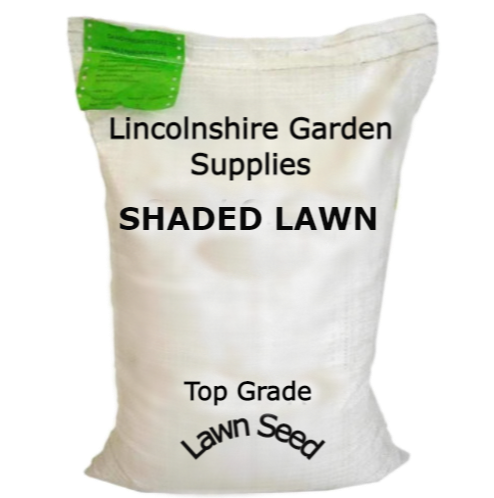 SHADED LAWN
