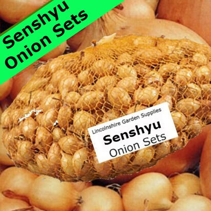 Senshyu