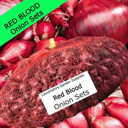 Red Blood Red Blood