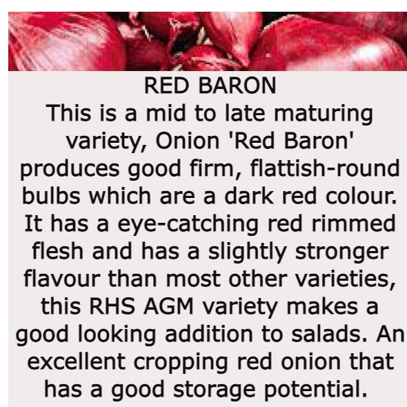 Red Baron Red Baron