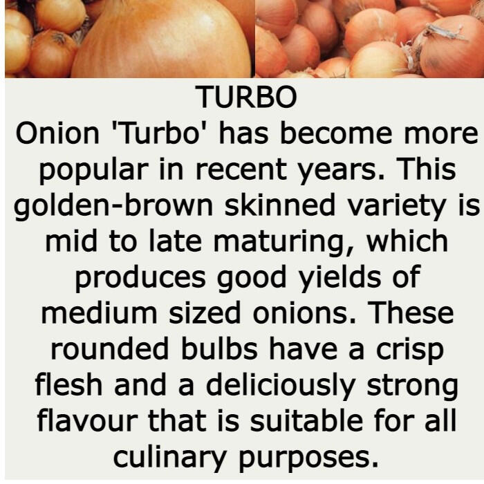Turbo Turbo