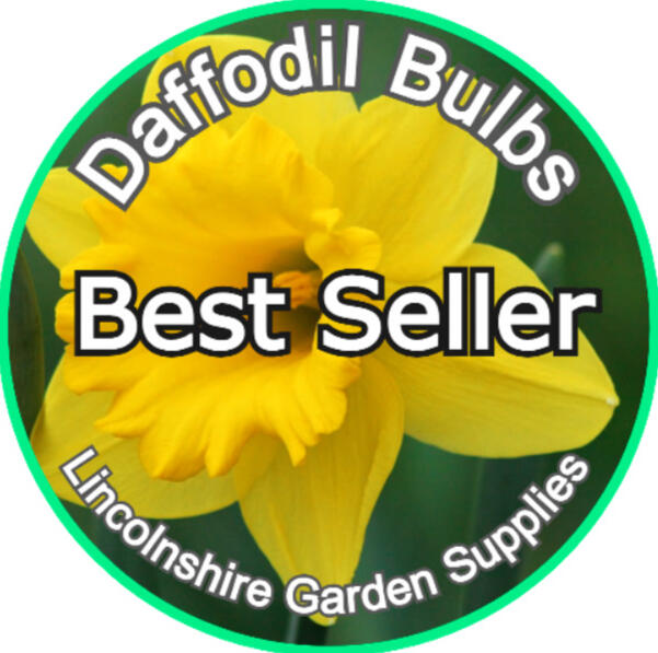 Best Seller best seller
