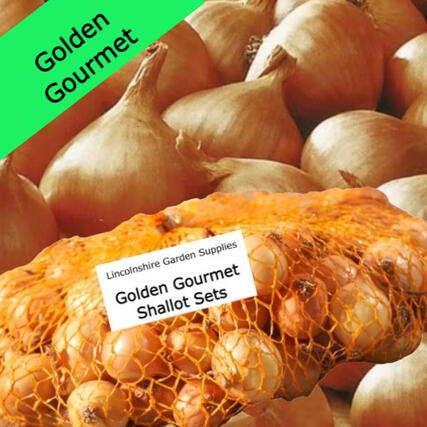 Golden Gourmet